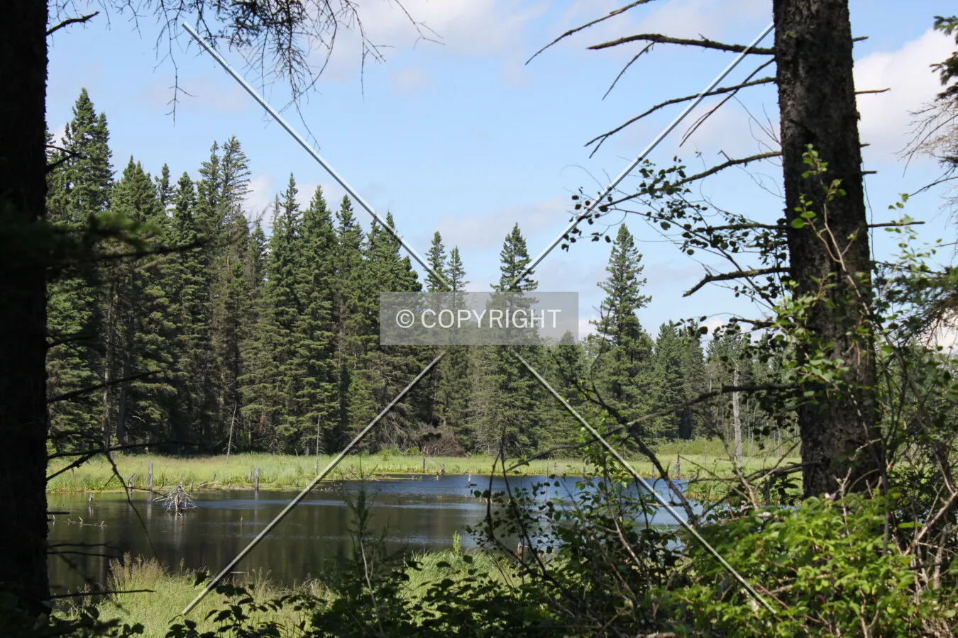 Photo 424-946-228