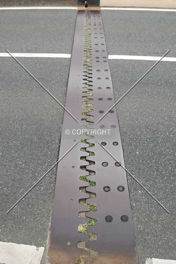 Expansion joint