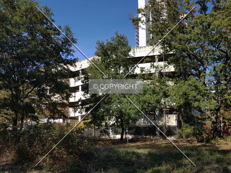 Photo 425-243-410