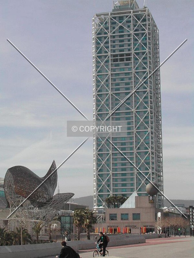 General view of the monument Pescado and the building from the marina