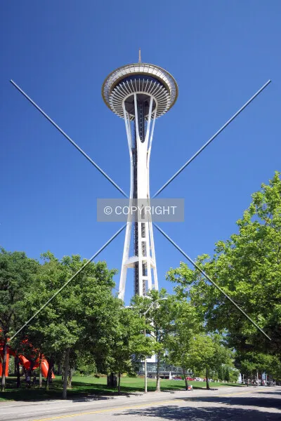 Photo 425-784-597