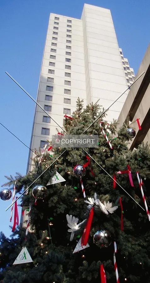 Standing over a Christmas tree on Broad Street