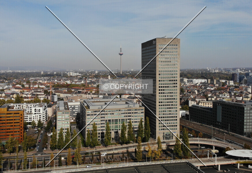 Photo 426-023-729