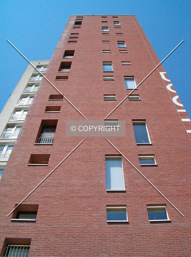Looking up from Boerhaavelaan