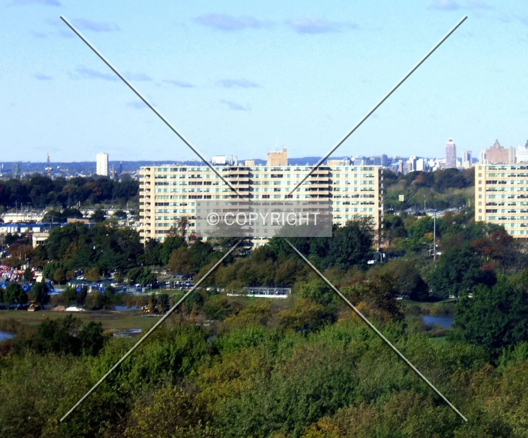 View from the east