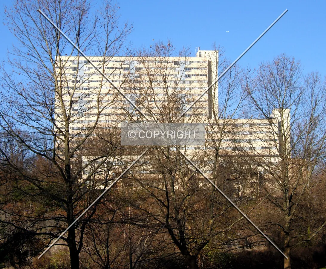View from the southeast