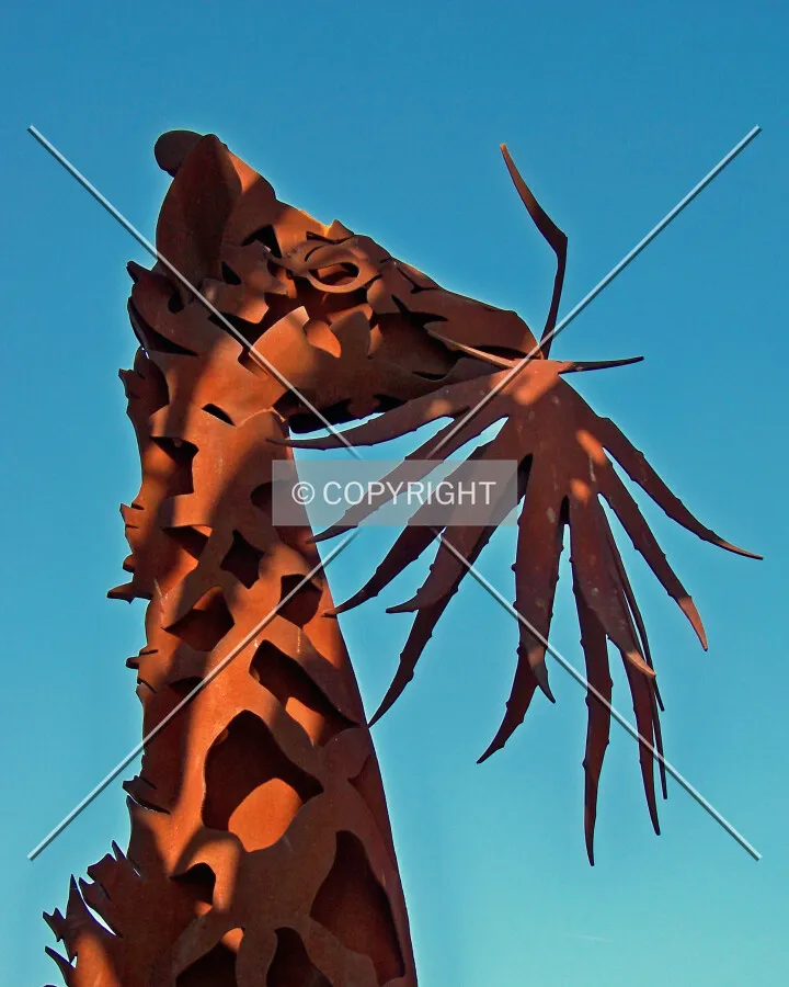 Giraffe from the southeast