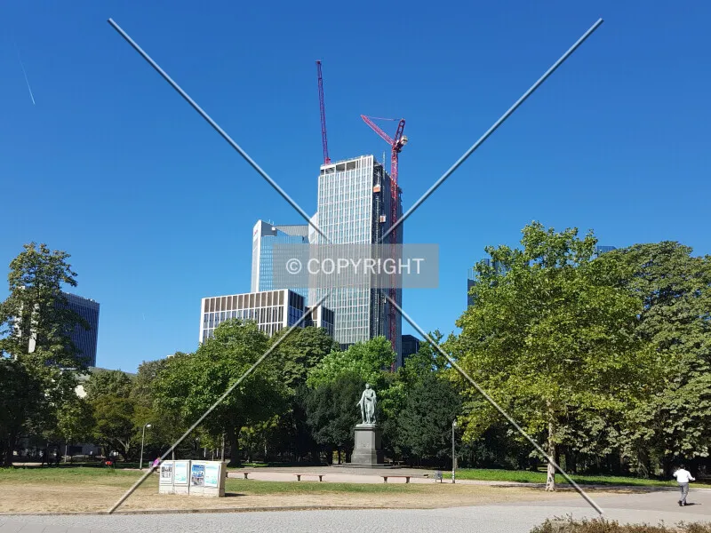 Photo 427-033-851