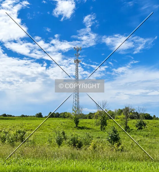 Photo 427-042-753