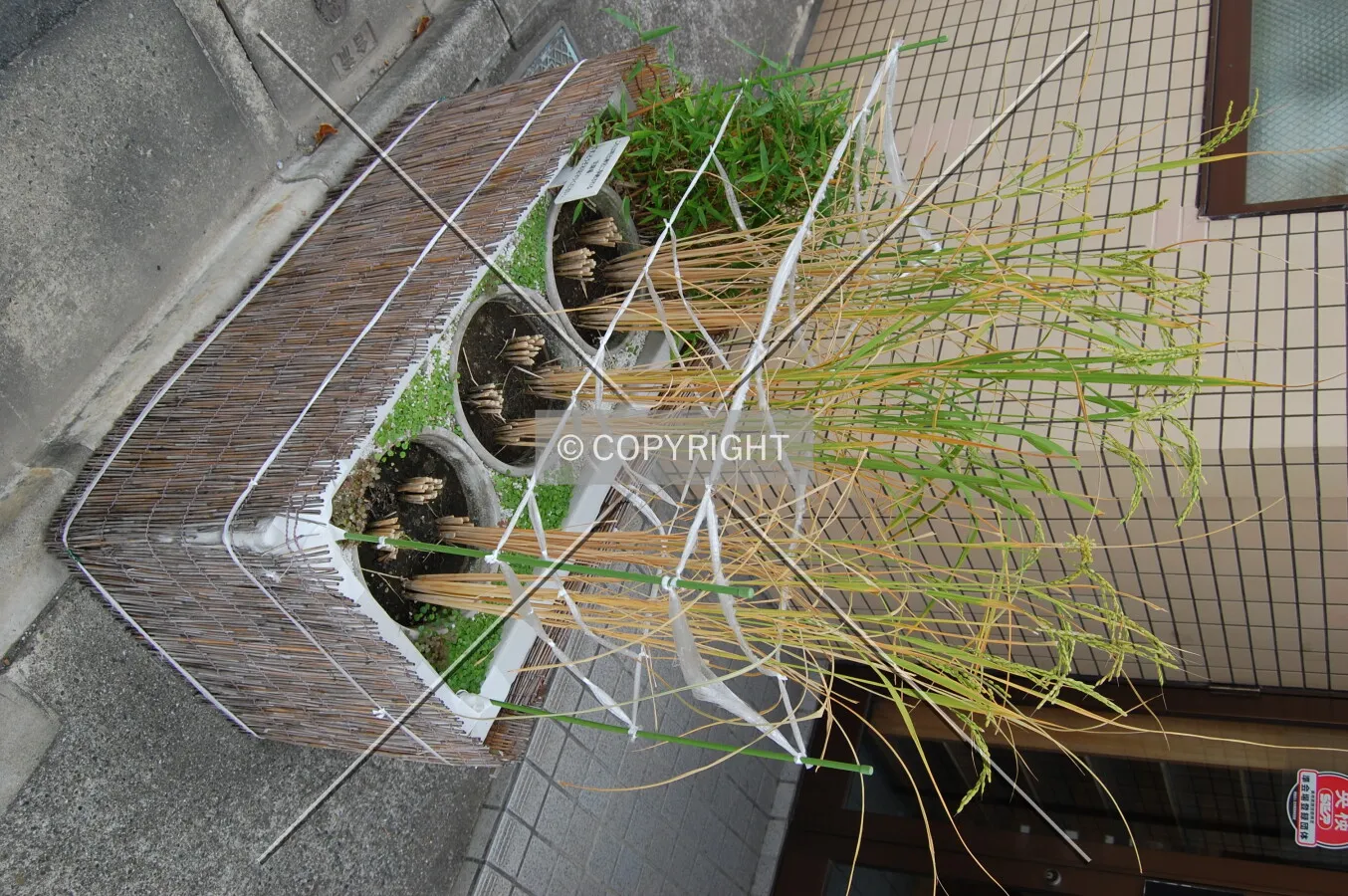 Photo 427-144-293