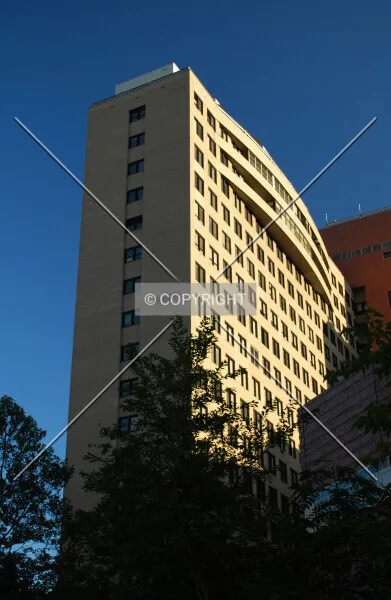 Photo 427-262-692