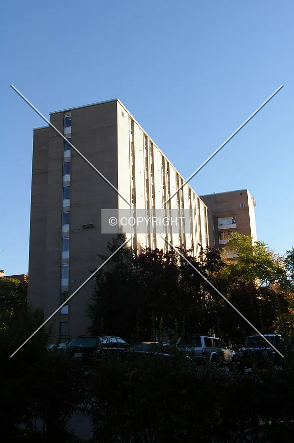 Photo 427-289-455