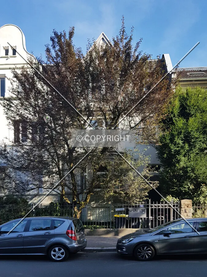 Photo 427-318-563