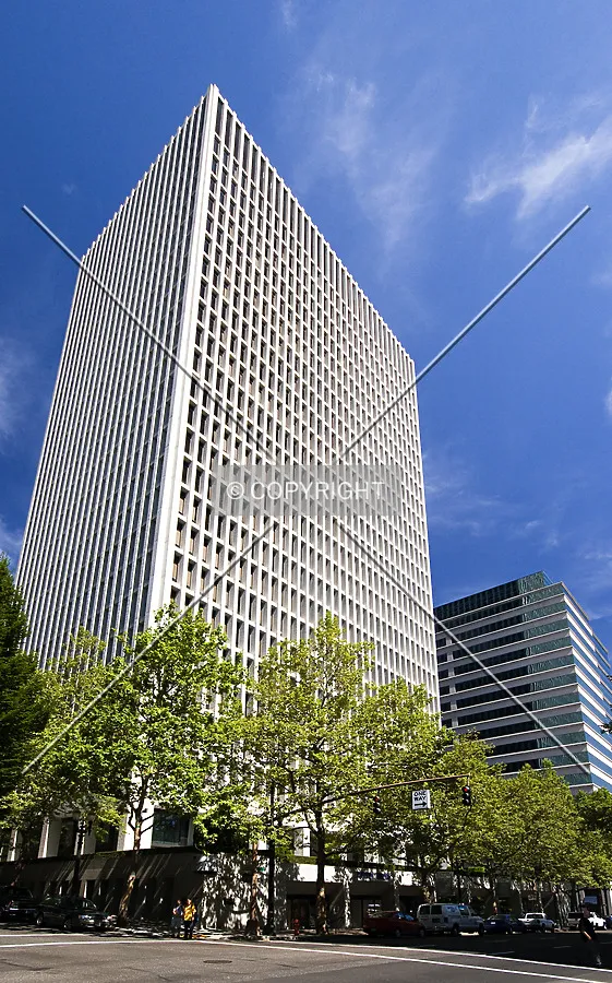 Looking up the eastern facade