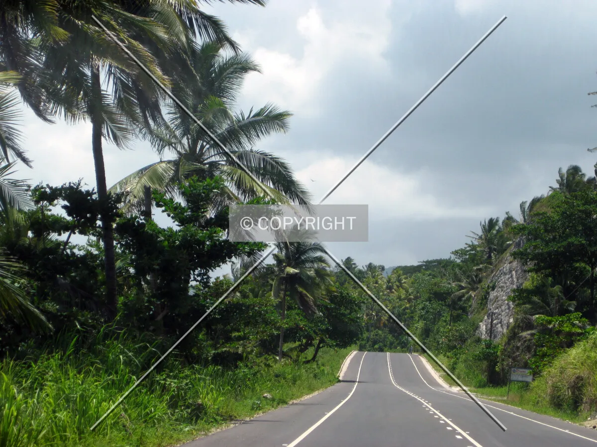 a road in Jamaica