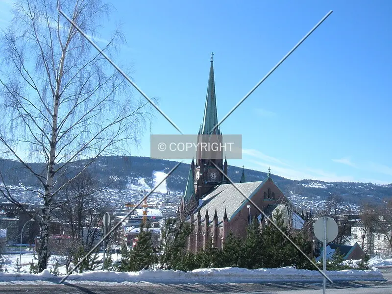 Photo 427-835-732
