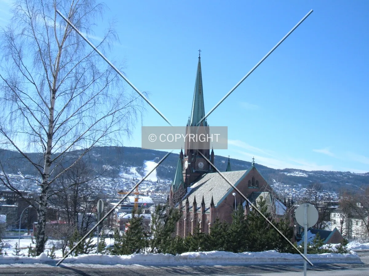 View from the north