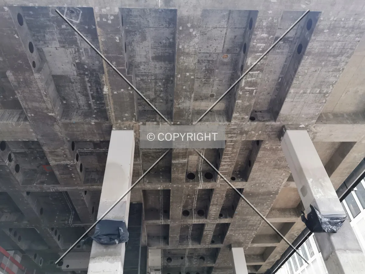 Photo 428-069-987
