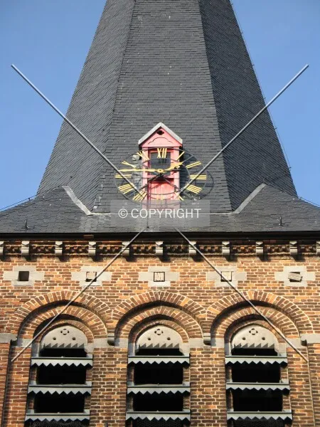 Photo 428-239-019