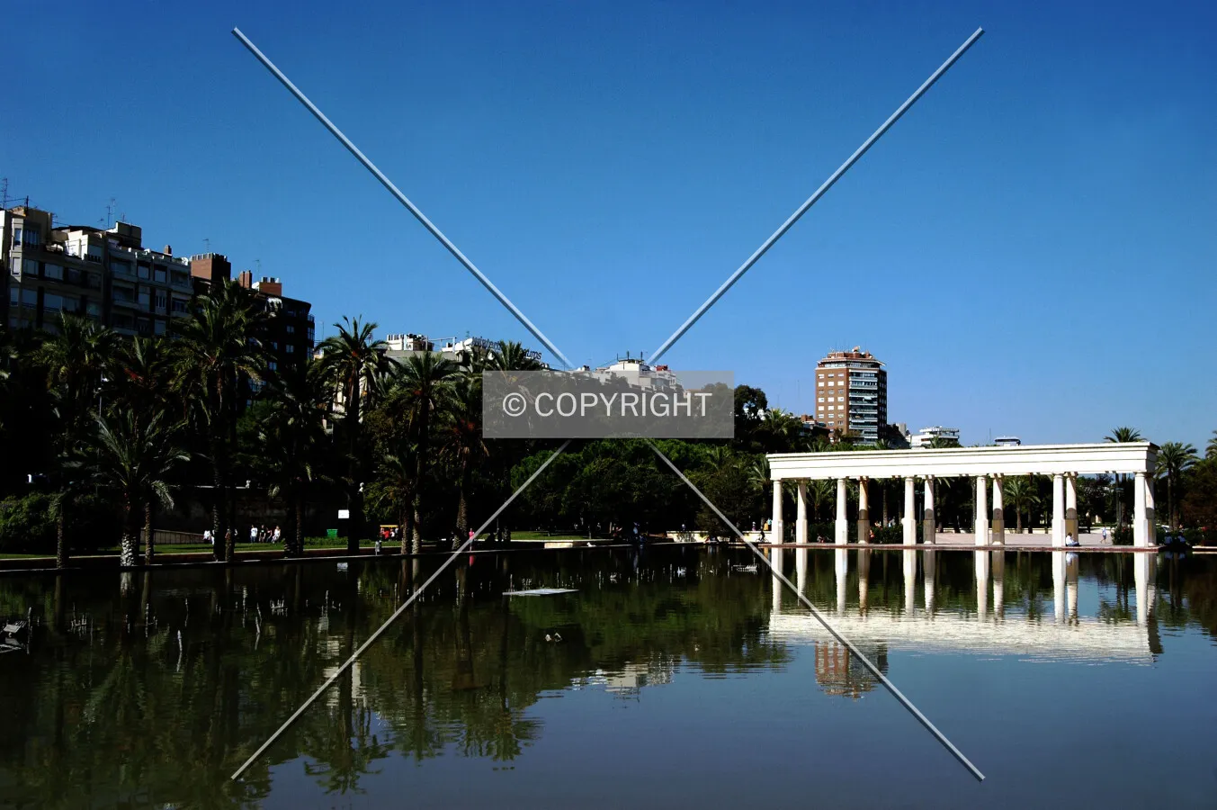 Photo 428-291-346