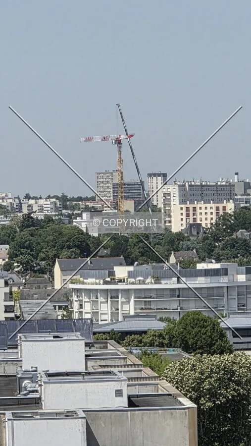 Photo 428-330-781