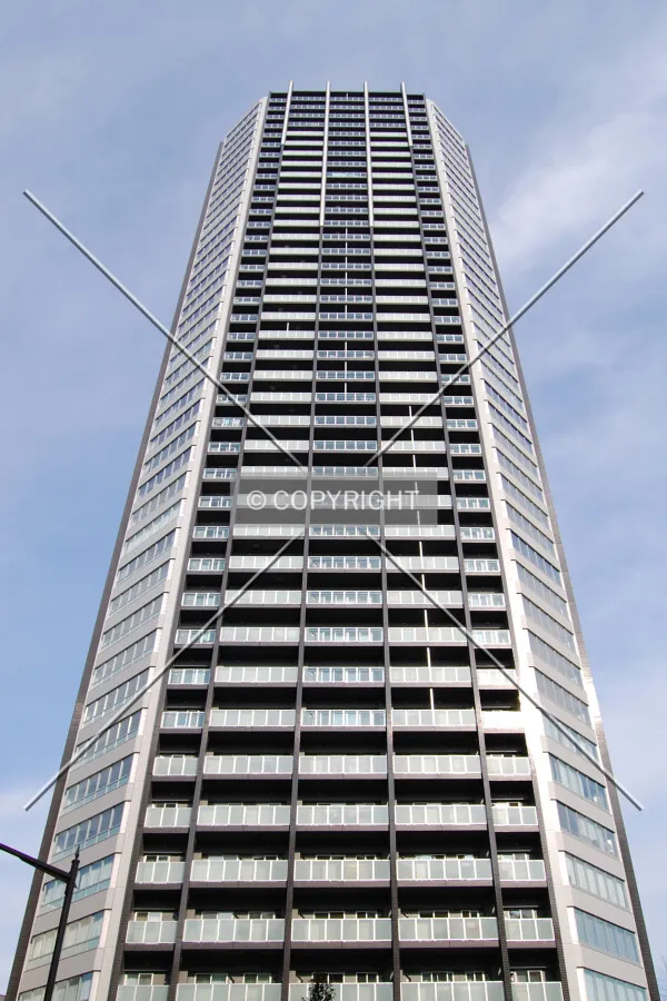 Looking up from the southeast