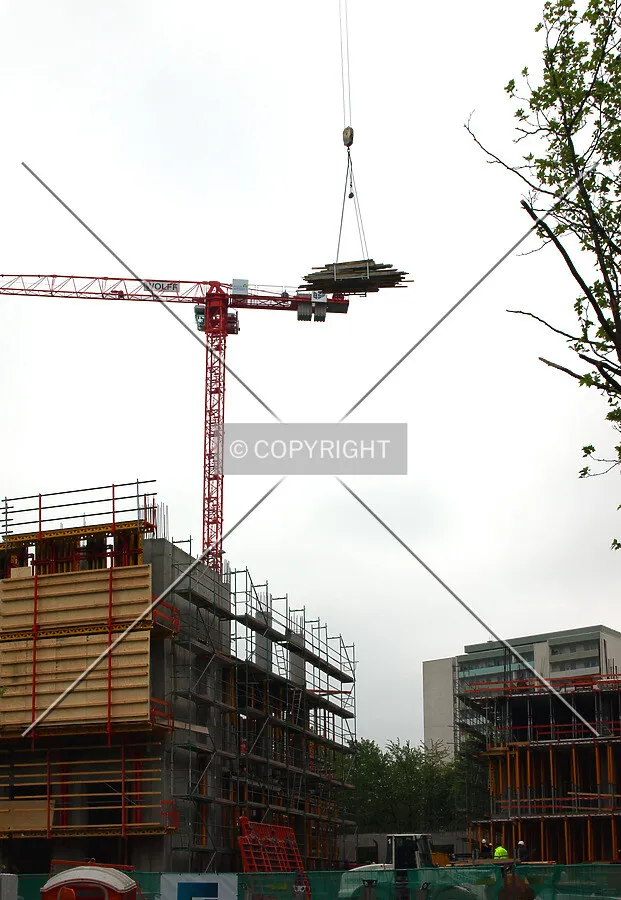 Crane activity
