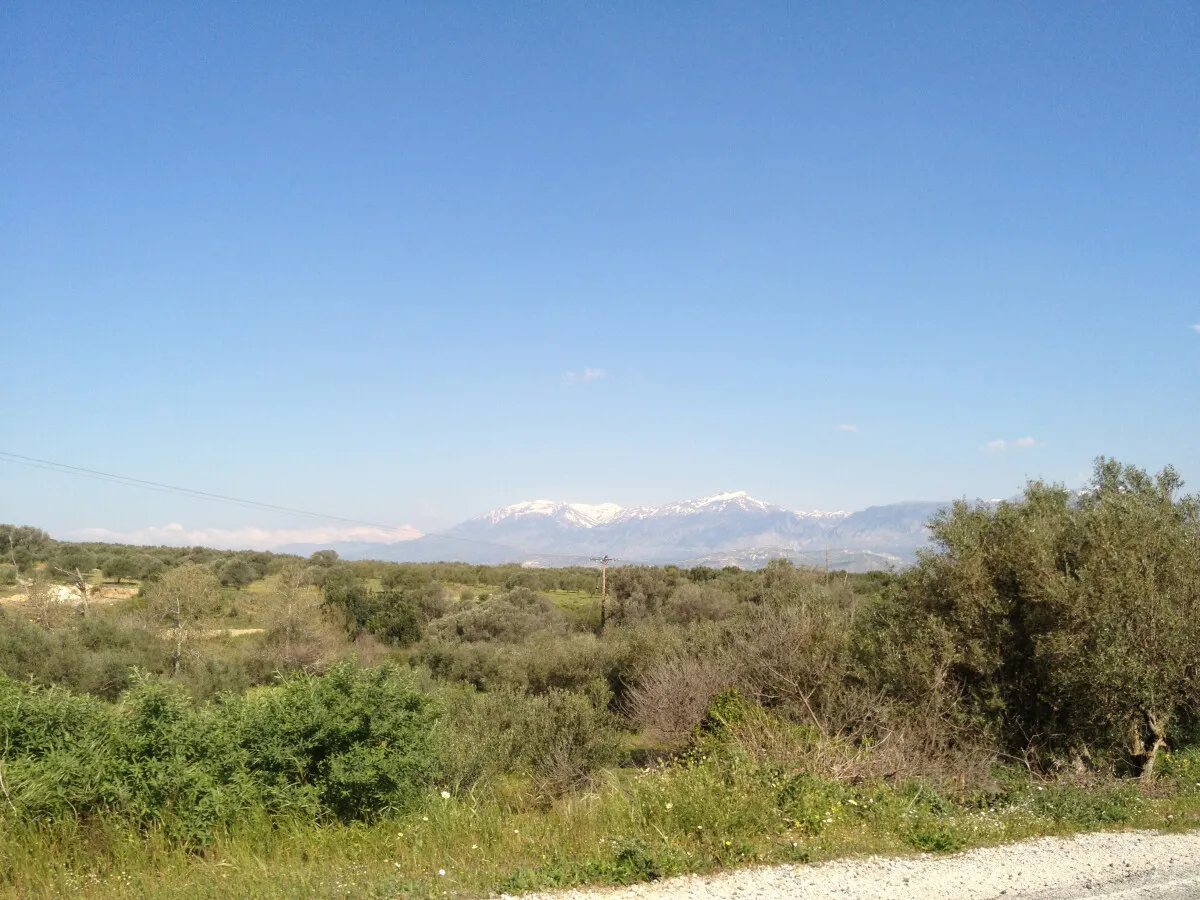 Photo 429-271-013