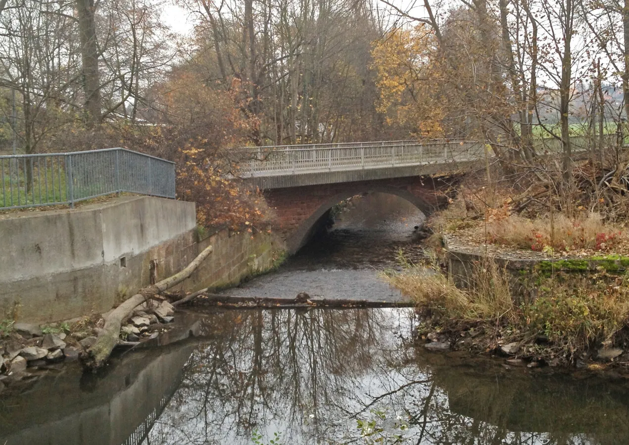 Photo 429-716-698