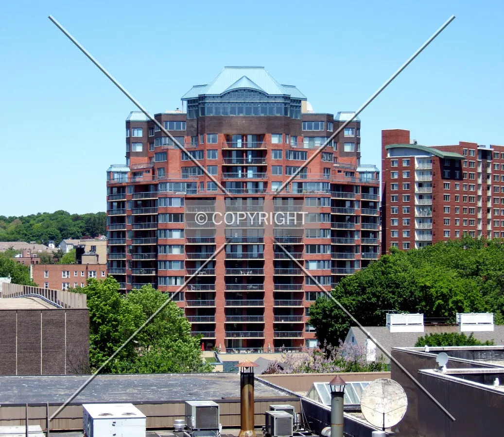 View from the south