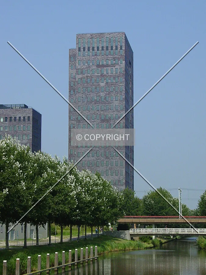 View from the south
