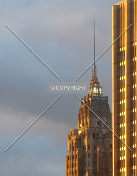 Photo 430-448-714