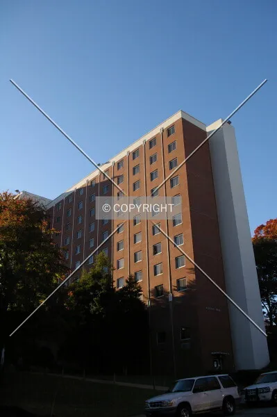 Photo 430-621-249