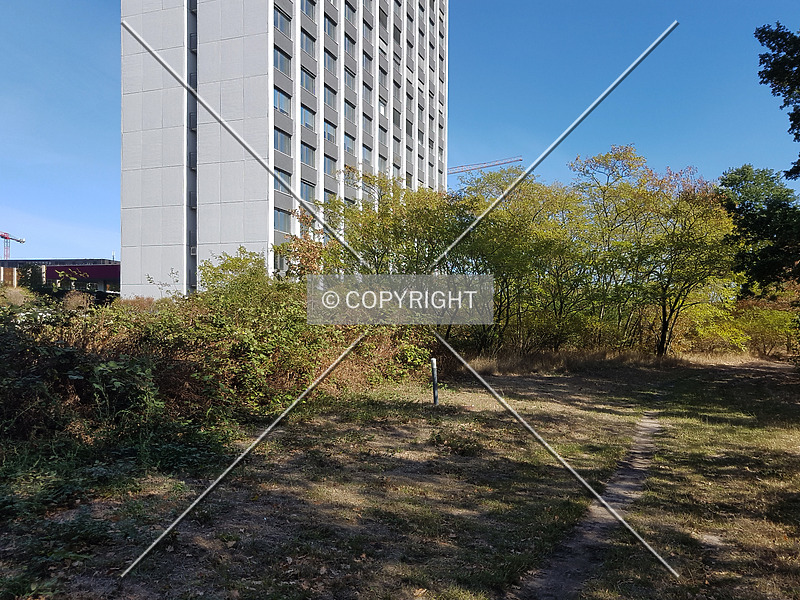 Photo 431-210-804