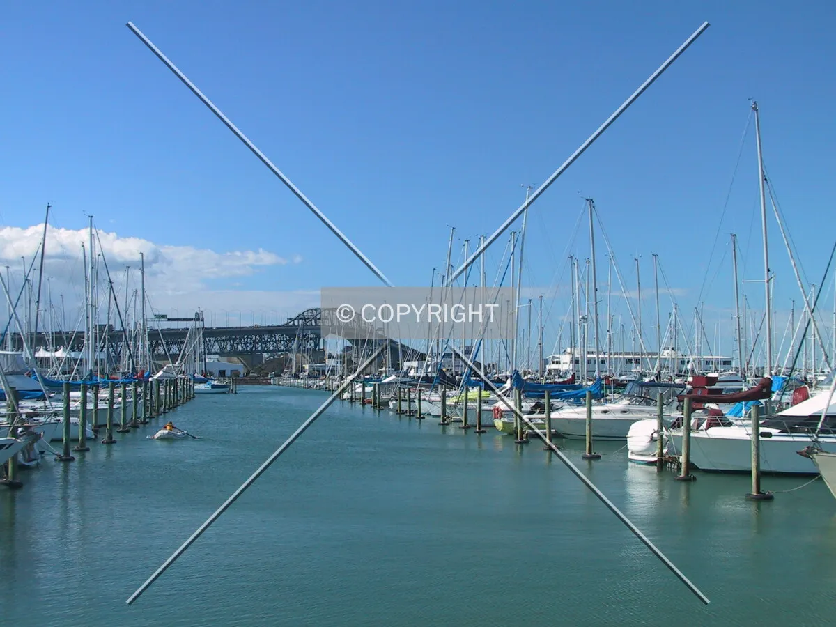 Harbour Bridge and Marina