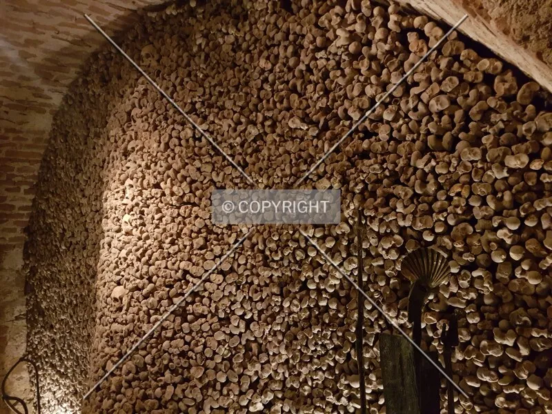 Photo 431-276-350