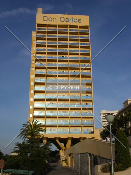 Don Carlos Hotel