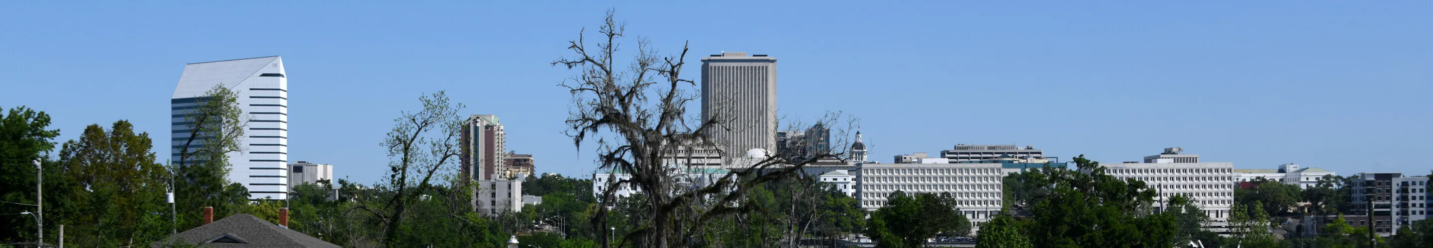 Panorama of Tallahassee