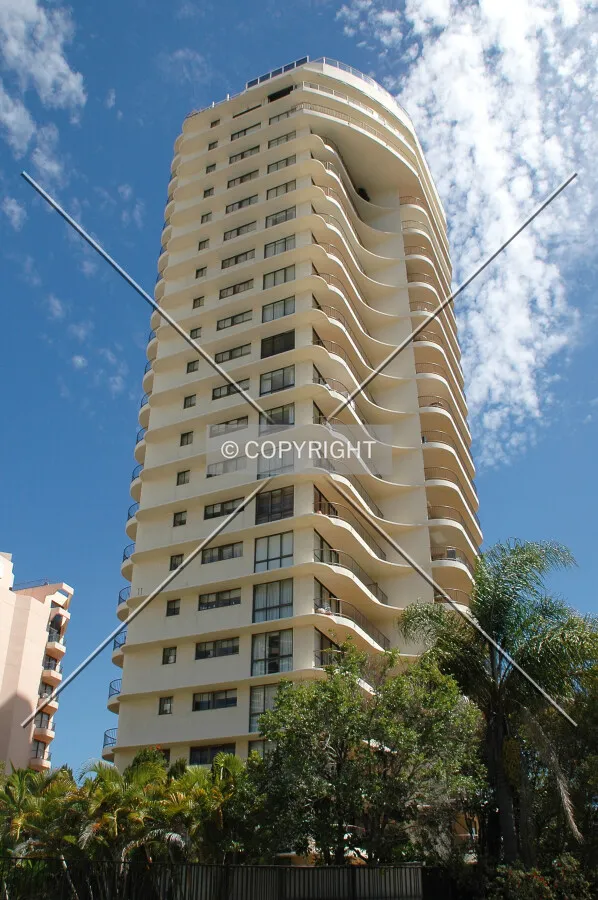 Looking up from Palm Avenue