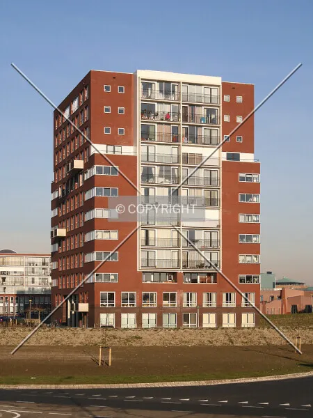 Ravelijn Zuid