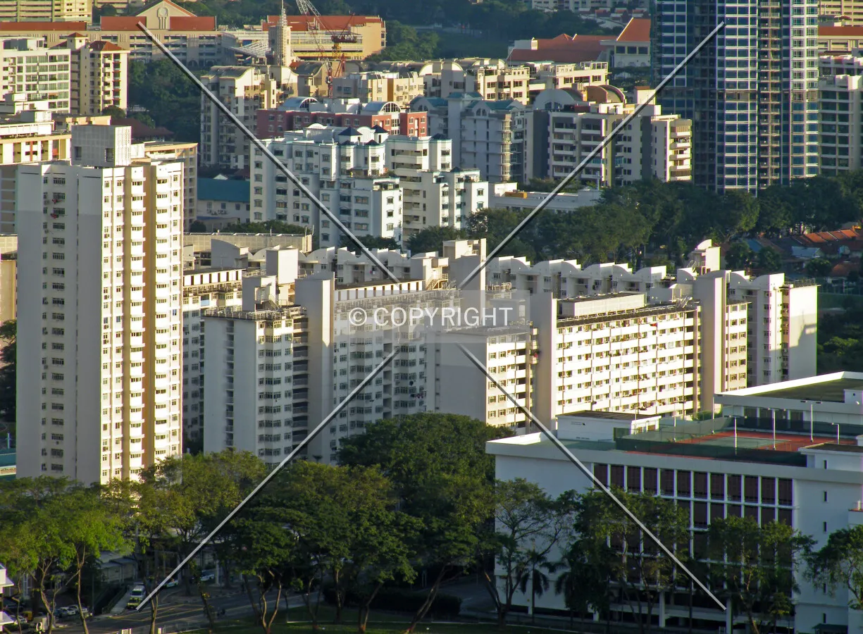 View from the south