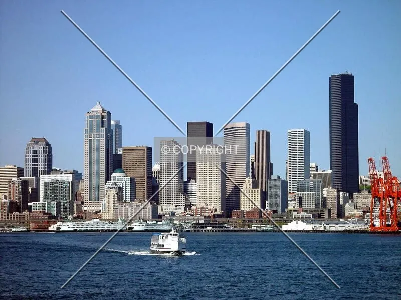 Skyline view