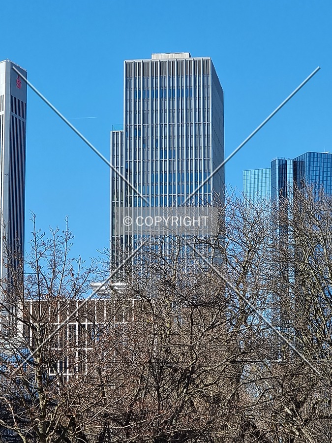 Photo 434-173-787