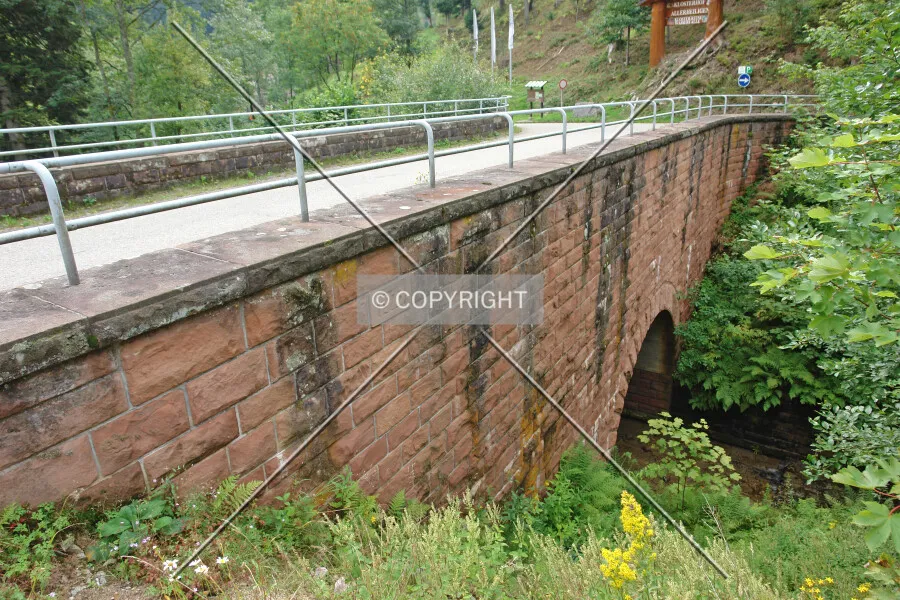 Photo 434-493-941