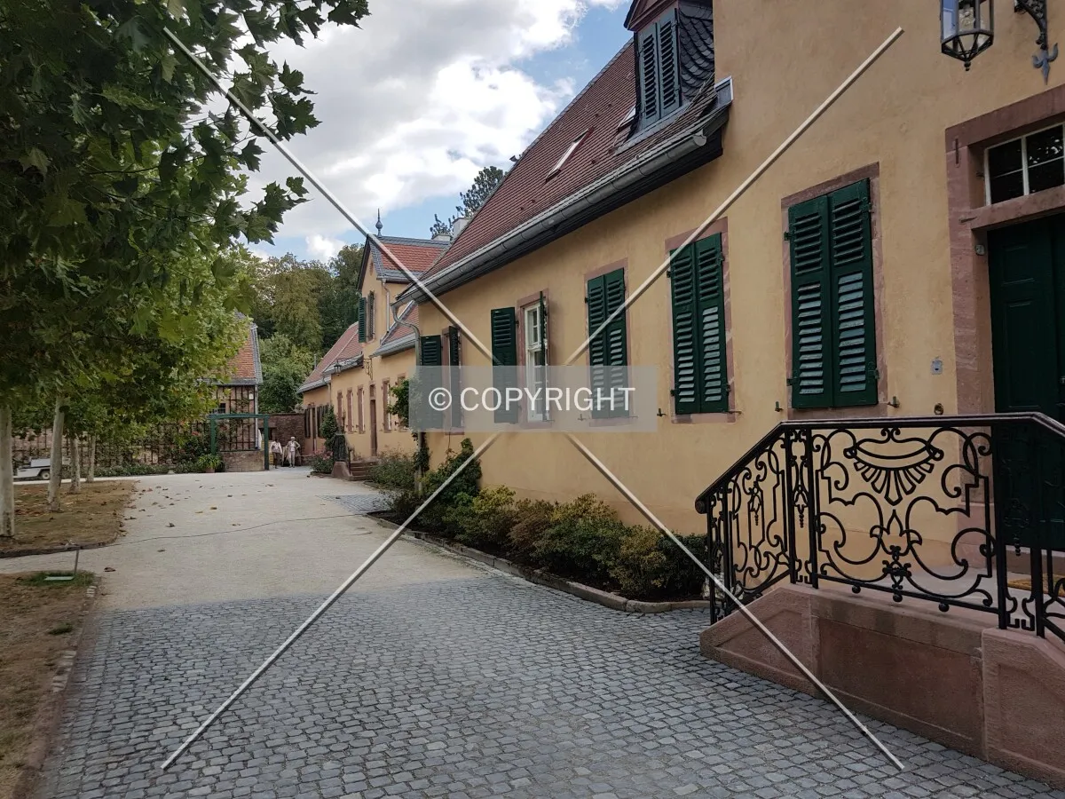 Schloß Wolfsgarten in 2018