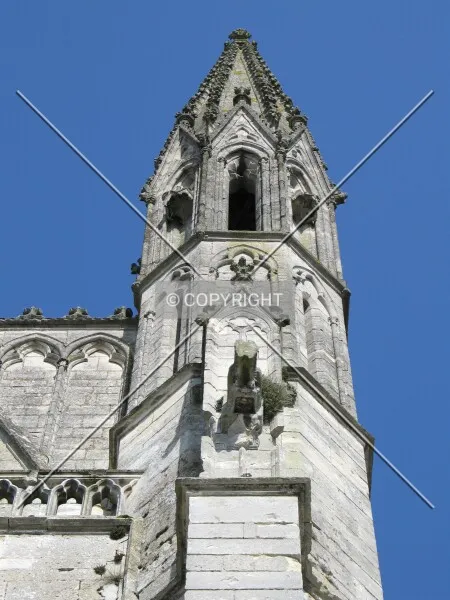 Photo 435-056-621