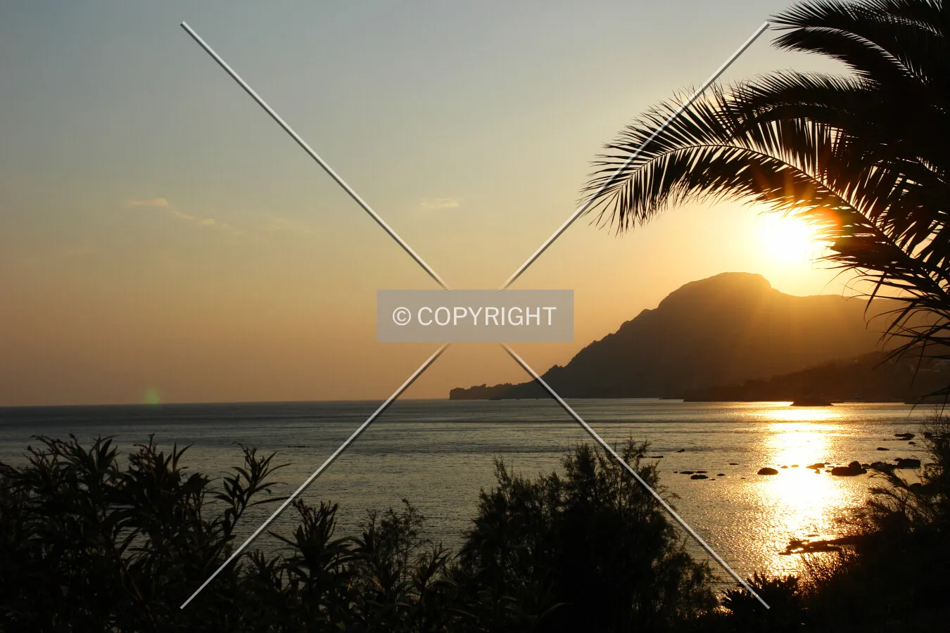 Palm tree in sunset in Plakias,