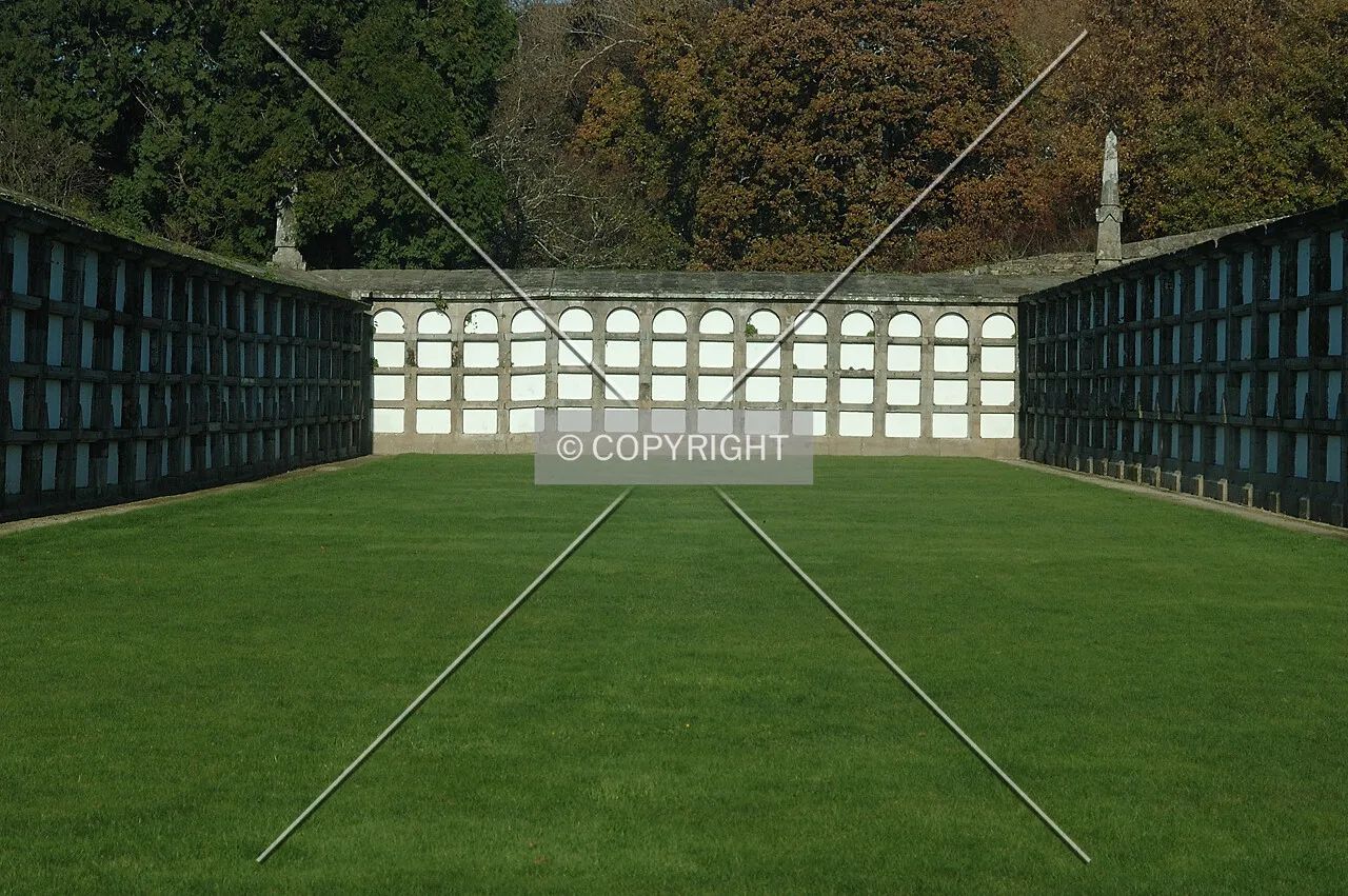 Grass in Bonaval's Park