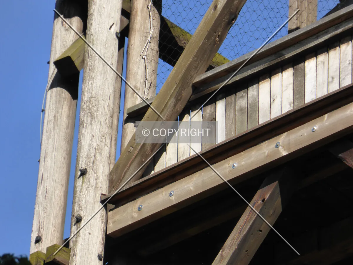 Photo 436-293-325