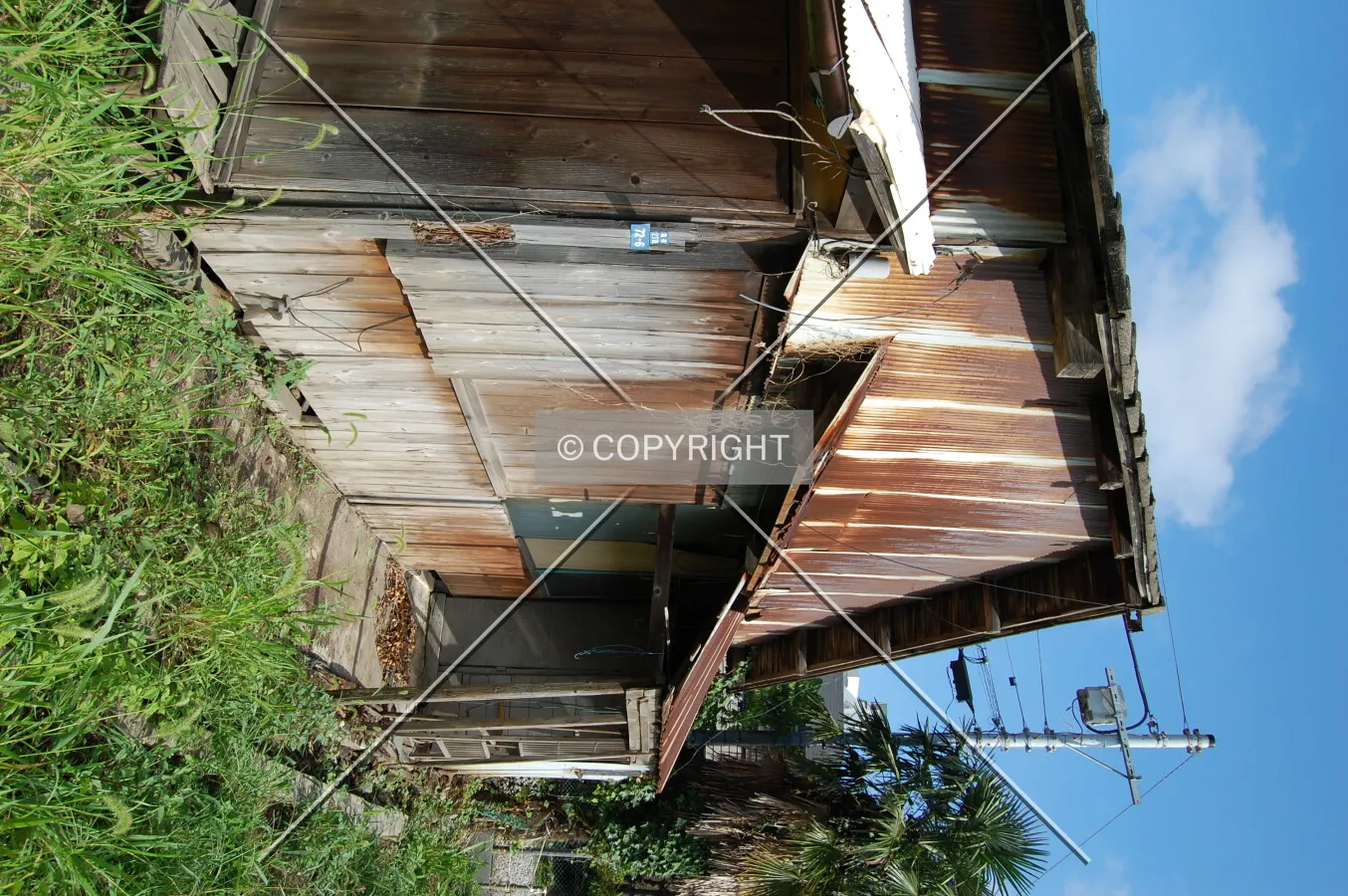 Photo 436-751-673